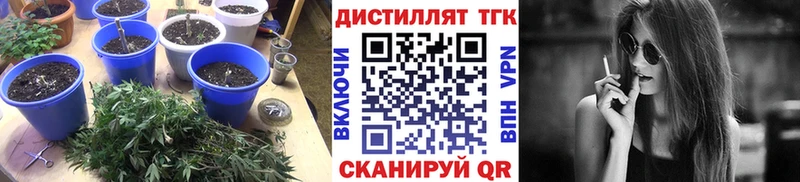 Дистиллят ТГК вейп  ОМГ ОМГ tor  Артёмовск 